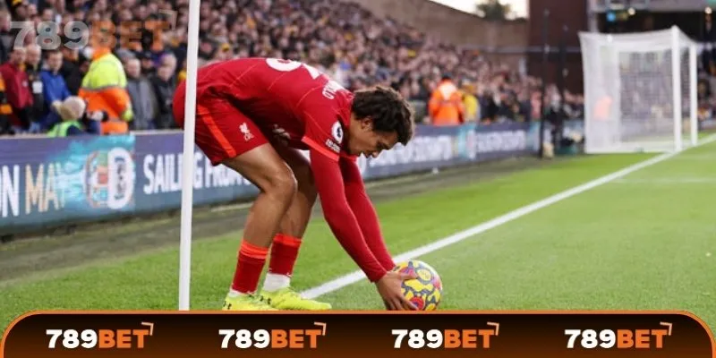 Thống kê lịch sử đối đầu giữa hai đội