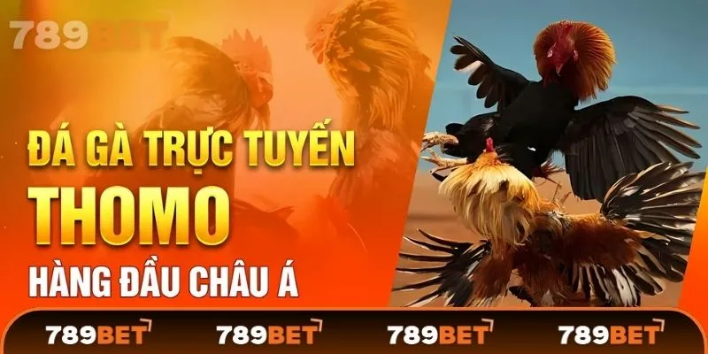 Tổng quan về Đá Gà 789BET