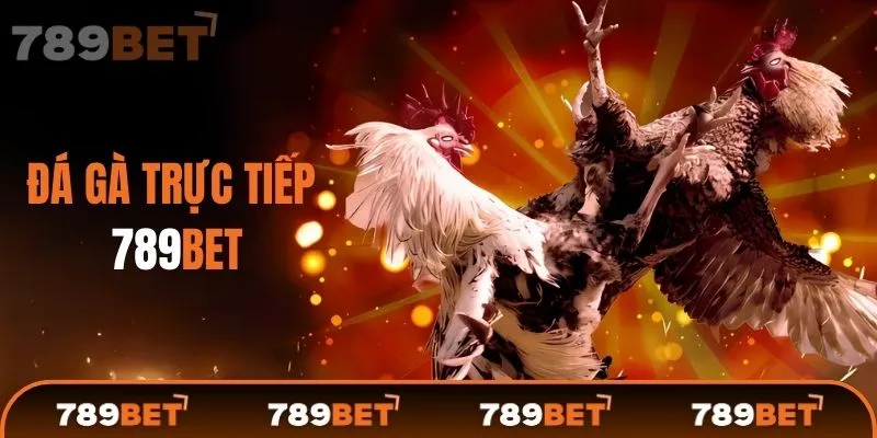 Mẹo chơi Đá Gà 789BET bách thắng